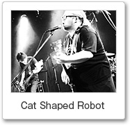 Cat Shaped Robot